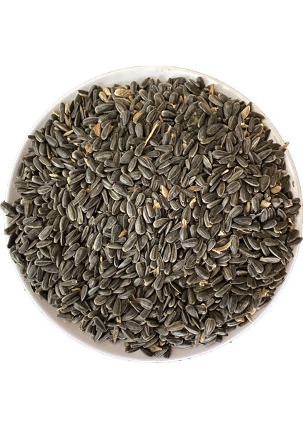 1 kg Sultan Cennet Papağan Çekirdeği Tozsuz Yem