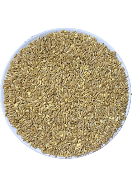 100 gr Tavuk Horoz Yemi Sert Buğday
