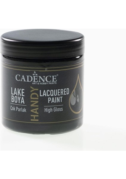 Handy Lake Boya L060 Siyah 250ML