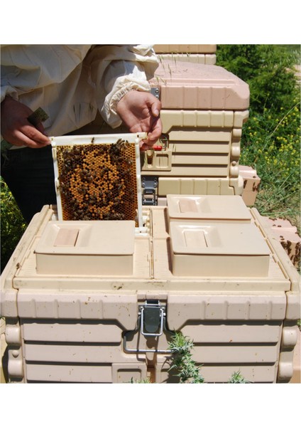 Termo Ana Arı Kovanı (Ln-24) - Arıcılık modelleri