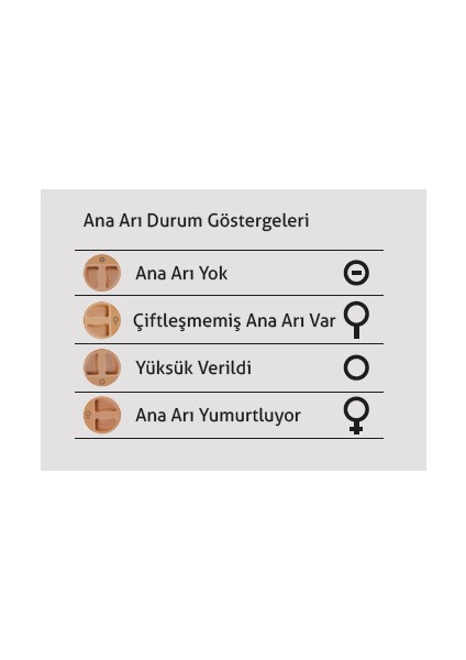 Termo Ana Arı Kovanı (Ln-24) - Arıcılık indirimleri