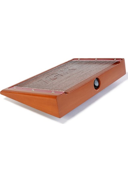 BeeWhisper Arı Zehri Toplama Seti AP-10413 - Arıcılık