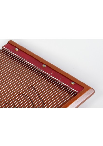 BeeWhisper Arı Zehri Toplama Seti AP-10413 - Arıcılık