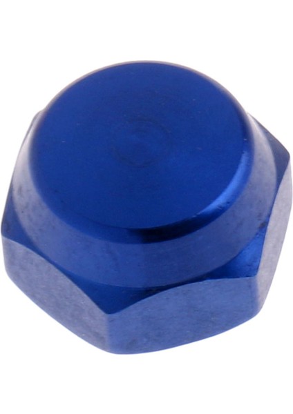 Balıkçılık Reel Vida Somun Vida Balıkçılık Reel Kolu Sağ El Mavi Mavi Sağ El (Yurt Dışından)