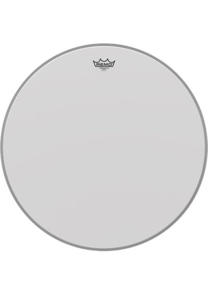 Ambassador® Coated 24 Inç Kick Derisi