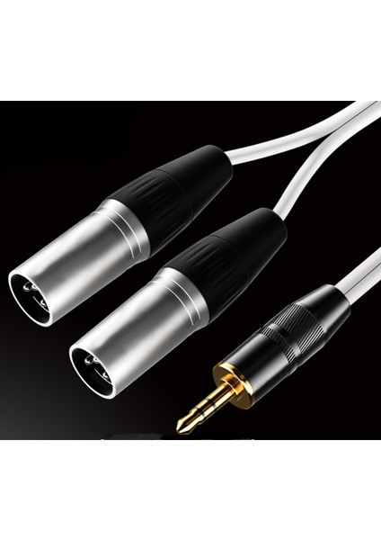 Profesyonel 3.5mm Fiş - Çift Xlr Fişler Ses Kablosu Dönüştürücü (Yurt Dışından)