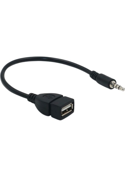 Ses Aux 3.5mm Erkek USB 2.0 Kadın Otg Dönüştürücü Adaptörü Kablosu 20 cm (Yurt Dışından)