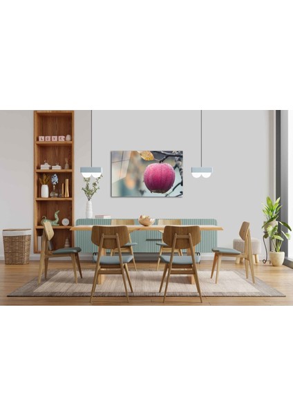 Meyveler Cam Tablo 4mm Dayanıklı Temperli Cam fiyatları