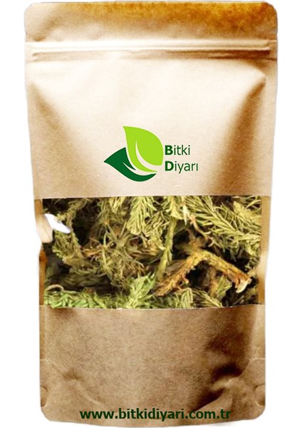 Kurtpençesi Otu (Lycopodiun Clavatum) 50GR