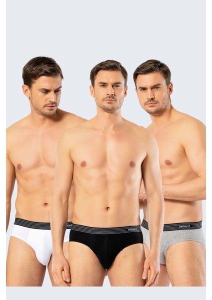 1321 Beyaz Siyah Gri Erkek 3'lü Slip