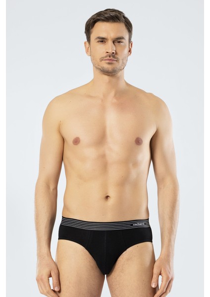 1321 Beyaz Siyah Gri Erkek 3'lü Slip fırsatları