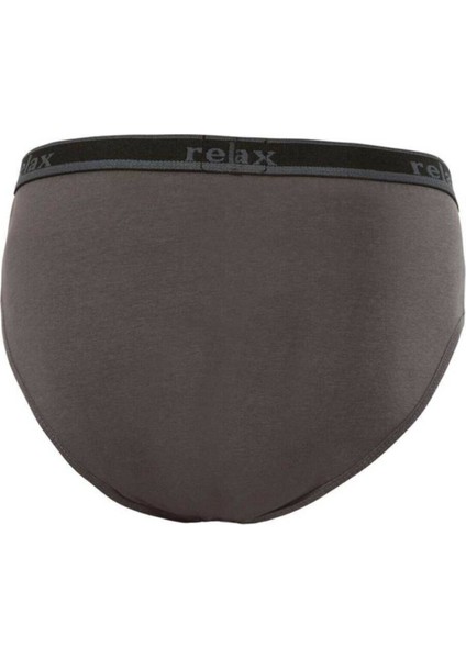 Anıt 1269 Antrasit 3 Adet Relax Pamuklu Erkek Slip Külot fiyatları