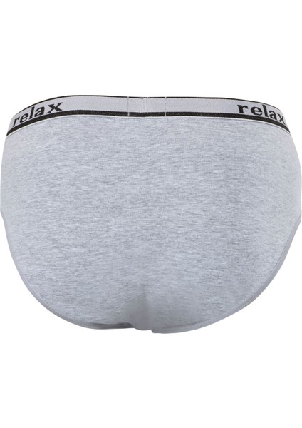 Anıt 1269 Gri 3 Adet Relax Pamuklu Erkek Slip Külot fiyatları
