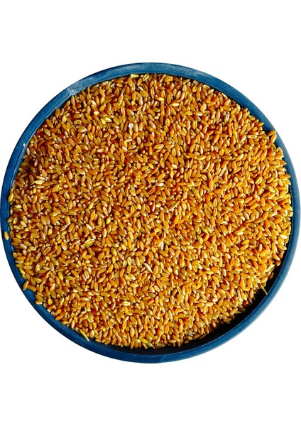 Elenmiş Sert Buğday 1.sınıf - 3 kg ( Güvercin Horoz Tavuk Hindi)
