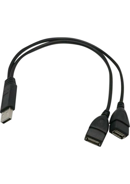 USB 2.0 A Bir 2 Çift Y Splitter Hub Güç Kablosu Adaptörü Kablosu (Yurt Dışından)