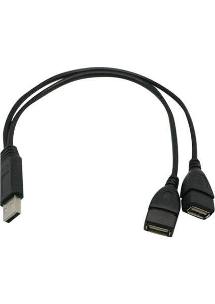 USB 2.0 A Bir 2 Çift Y Splitter Hub Güç Kablosu Adaptörü Kablosu (Yurt Dışından)