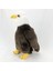 Yumuşak Peluş Oyuncak 31cm (Yurt Dışından) 4