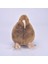Yumuşak Peluş Oyuncak 28cm (Yurt Dışından) 3