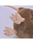 Yumuşak Peluş Oyuncak 28cm (Yurt Dışından) 4