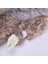 Yumuşak Peluş Oyuncak 35cm (Yurt Dışından) 4