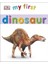 My First Dinosaurs 1