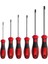 Tornavida Takımı Delikli Torx 6'lı 1