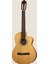 Elektro Klasik Gitar 1