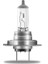 12 V H19 Halogen Ampul 1