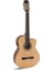 Alba Elektro-Klasik Gitar 1