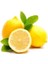 Limon Yatak Tane 1