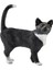 Ayakta Kedi 13770 1