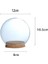 Dekoratif Top Şekilli Cloche Jar Teraryum 12CM 4