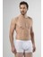 1405 Beyaz Erkek Boxer 1