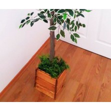 Bambu Yapay Ficus Benjamina Ağacı 1.70 m Boy Islak Doku Benjamin Ağaç