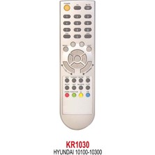 Varsakaca KR1030 Goldmaster 70100-70300-70400-HYUNDAI 10100-10300 Amstrad 16600 Kumandası
