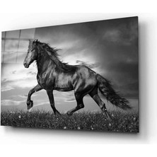 Dekorcum Dekorcumshop At Cam Tablo 4mm Dayanıklı Temperli Cam