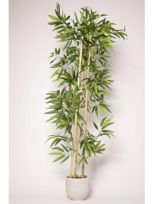 Mini Hediye Yapay Çiçek Beton Saksıda Bambu Ağacı Yoğun Dolgun Yapraklı