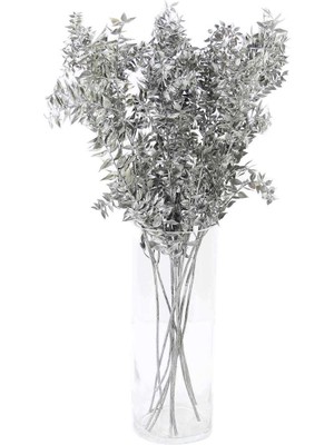 Gardenonya Dekoratif Kurutulmuş Ruskus (Kokina) Demeti Gümüş Kurutulmuş Çiçek Bitki