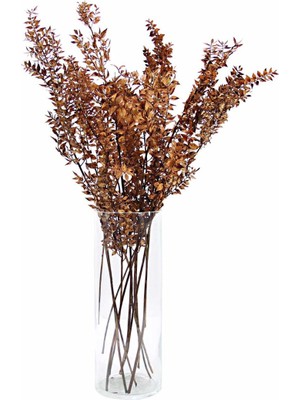 Gardenonya Dekoratif Kurutulmuş Ruskus (Kokina) Demeti Kahverengi Kurutulmuş Çiçek Bitki