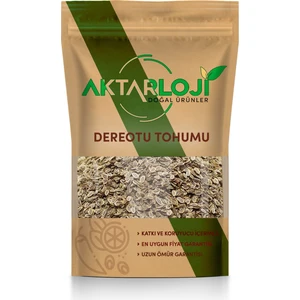 10 gr Dereotu Tohumu - Yerli