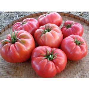 Esim - Mar Tarla Domates 2 kg