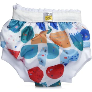 HelloBaby Tekli Alıştırma Külodu Erkek