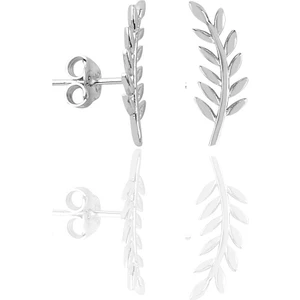 Söğütlü Silver Gümüş Rodyumlu Yaprak Modeli Küpe