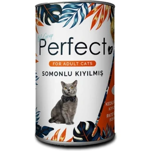 Salmon Ezme Somonlu Kıyılmış Yetişkin Kedi Konservesi 400 gr