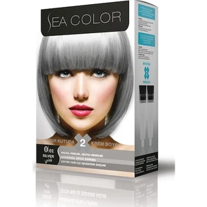 Sea Color Saç Boyası  Füme Gri