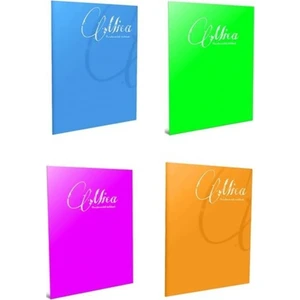 Mica A4 60 Yaprak Plastik Kapak Dikişli Defter 2 Kareli + 2 Çizgili