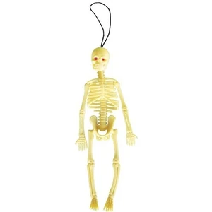 Okul Store Iskelet Modeli 22CM