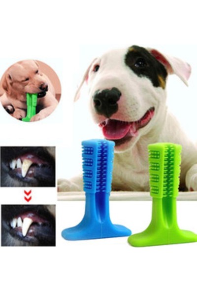 Fokul Köpek Diş Temizleyici ve Kaşıyıcı Sağlıklı Küçük Boy Oyuncak
