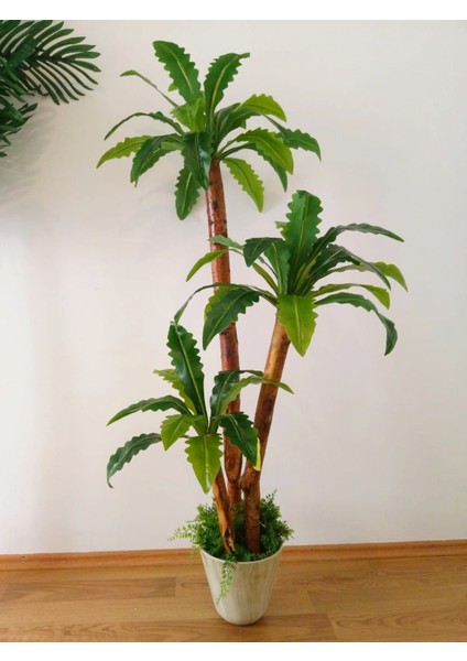 Yapay Dracena Ağacı 1.40 Metre Boy 3 Gövdeli Islak Doku