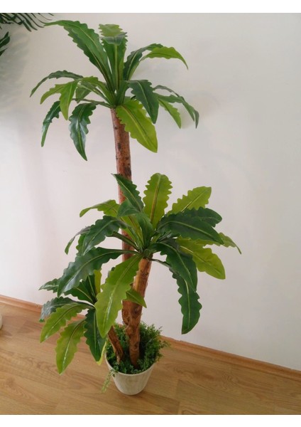 Yapay Dracena Ağacı 1.40 Metre Boy 3 Gövdeli Islak Doku